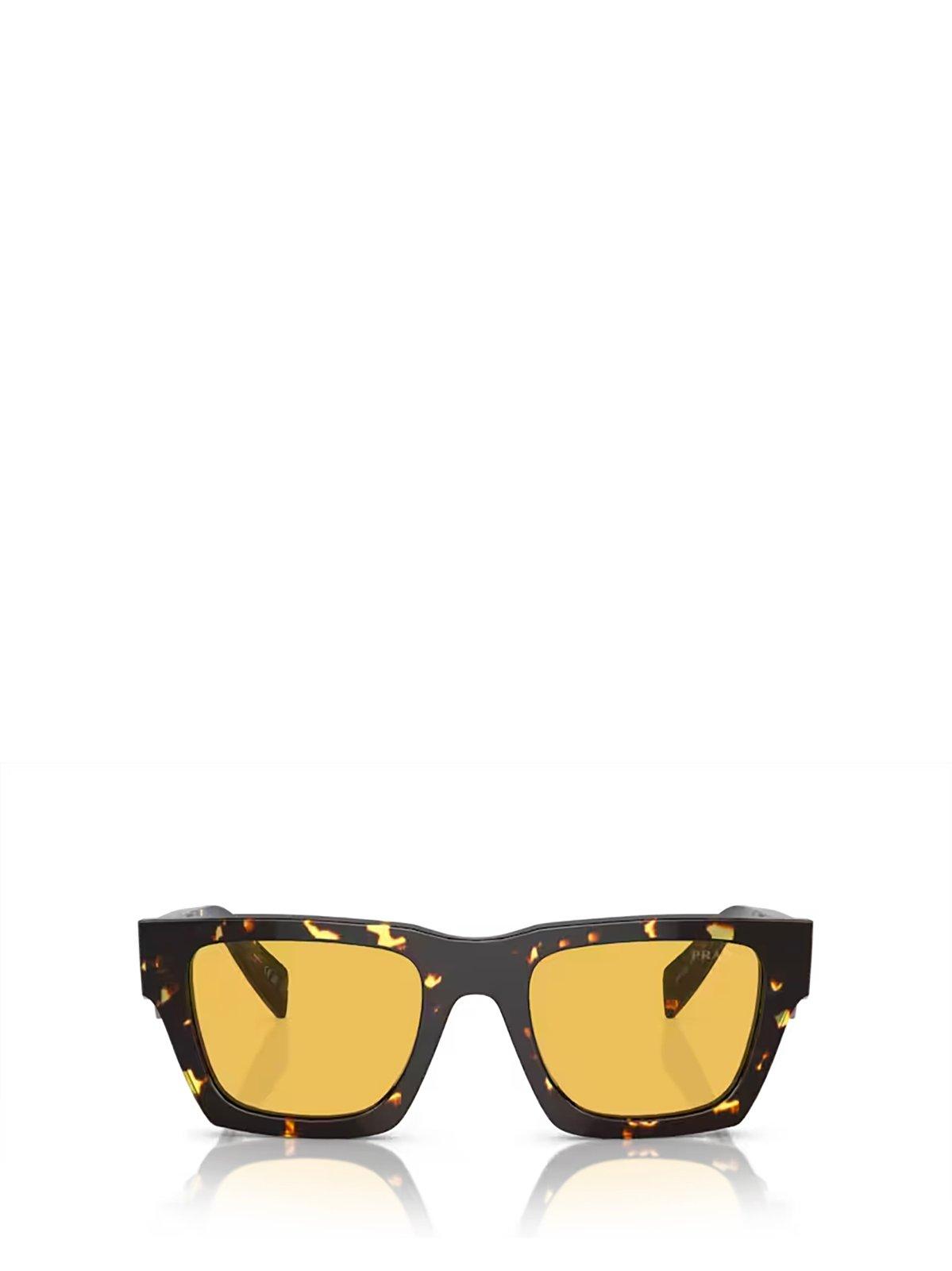 Square Frame Sunglasses Sunglasses