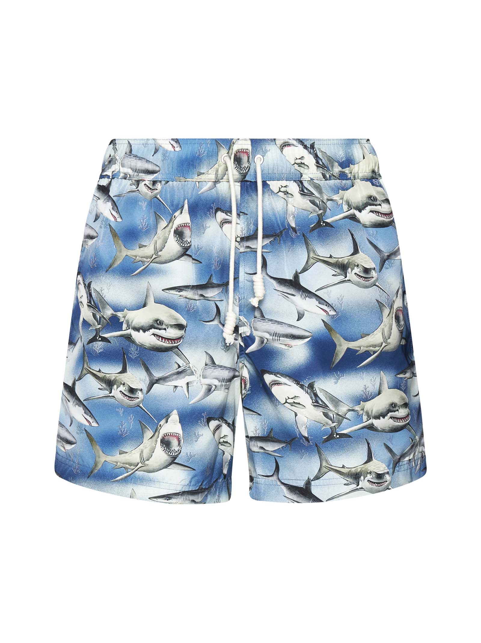 Sharks Swim Shorts