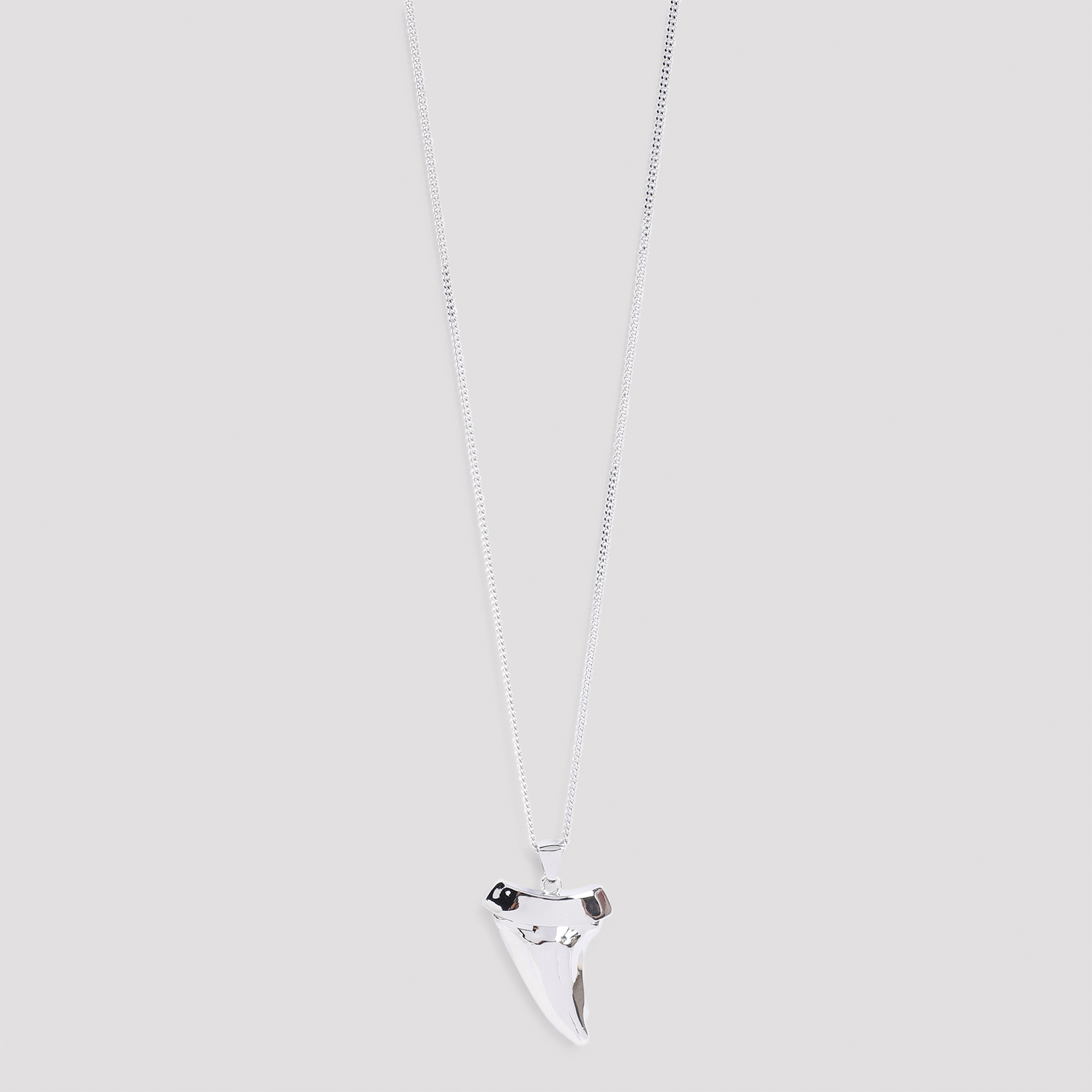 Shark Tooth Necklace