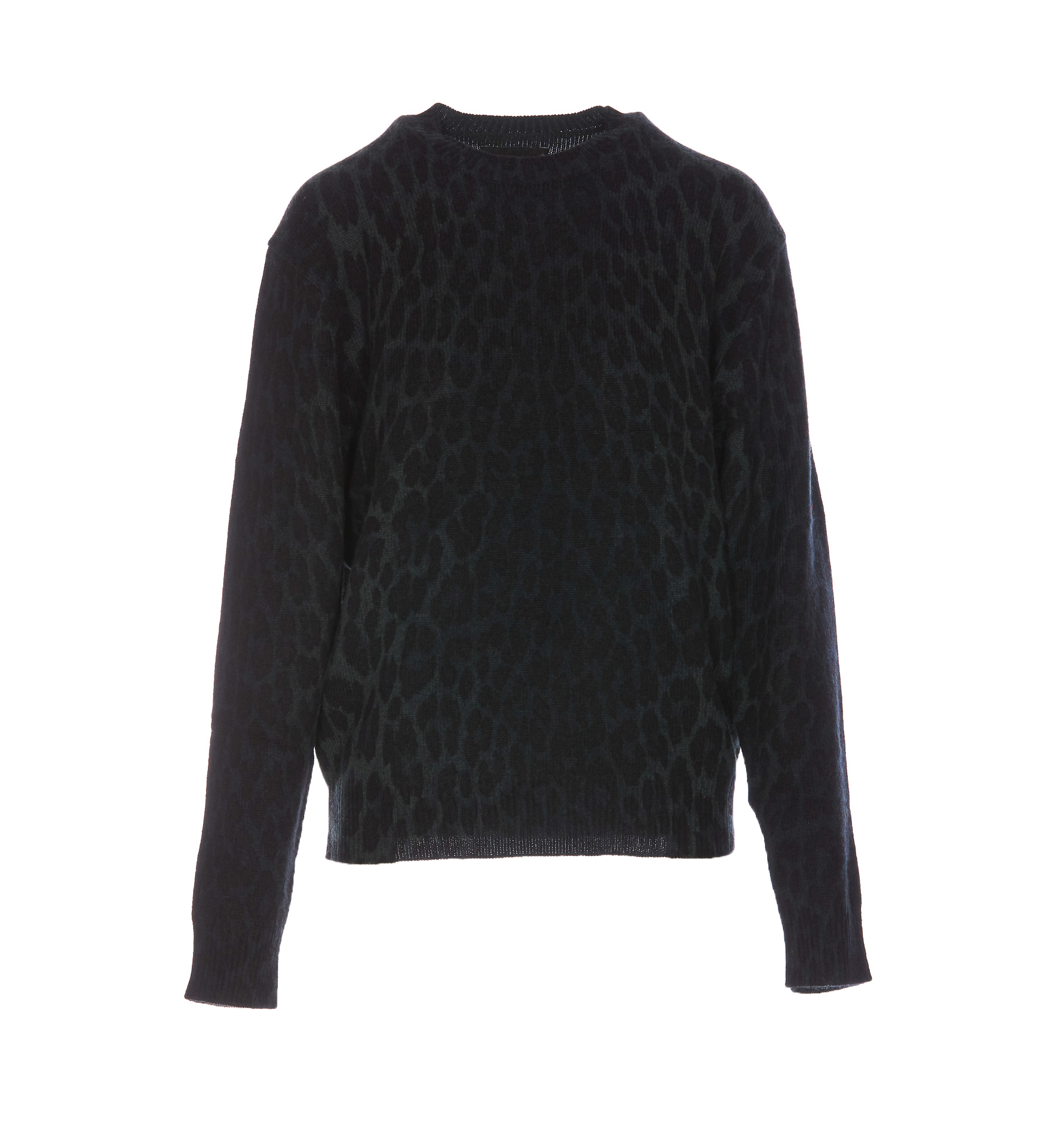 Pravis Sweater With Leo Print