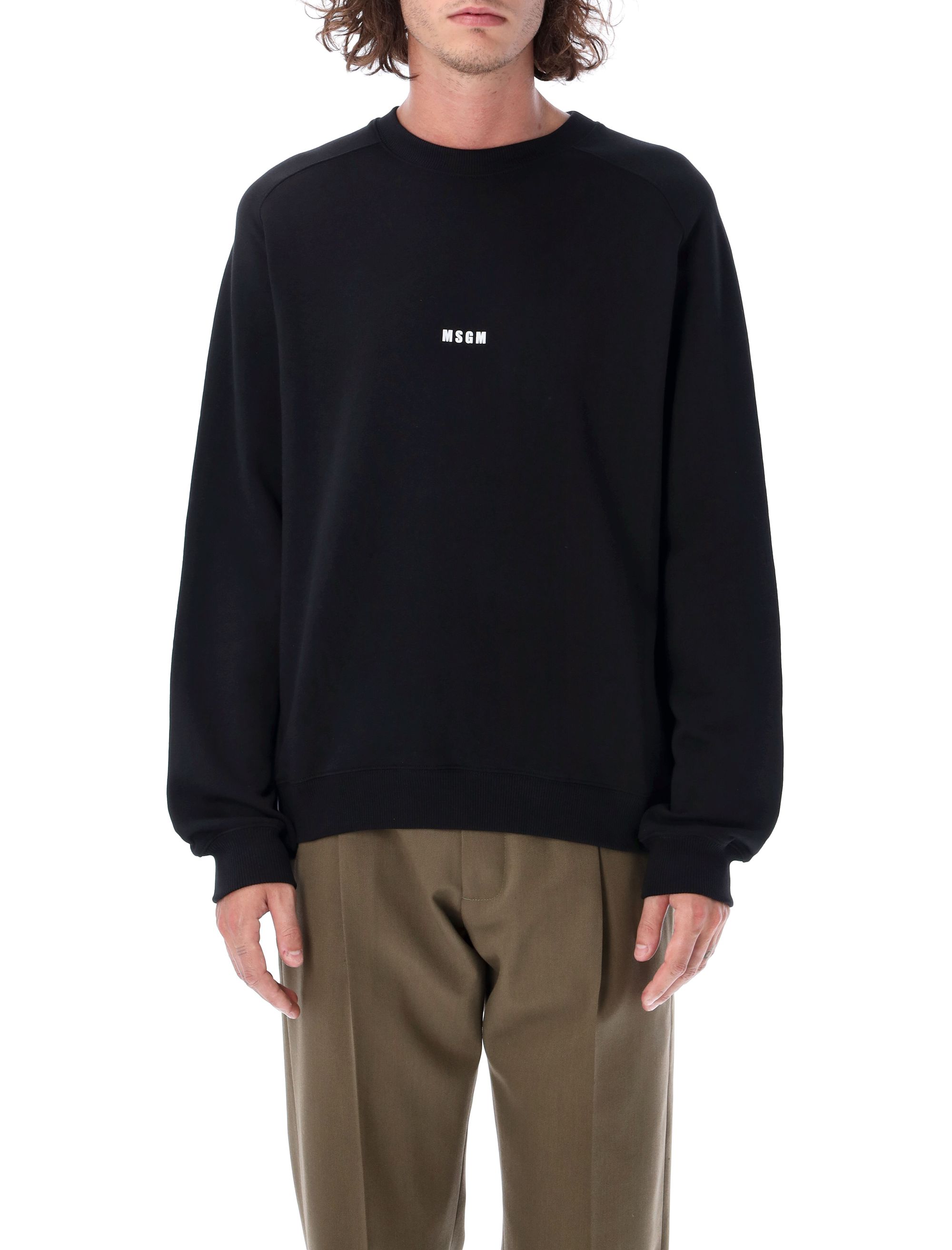 Small Logo Crewneck