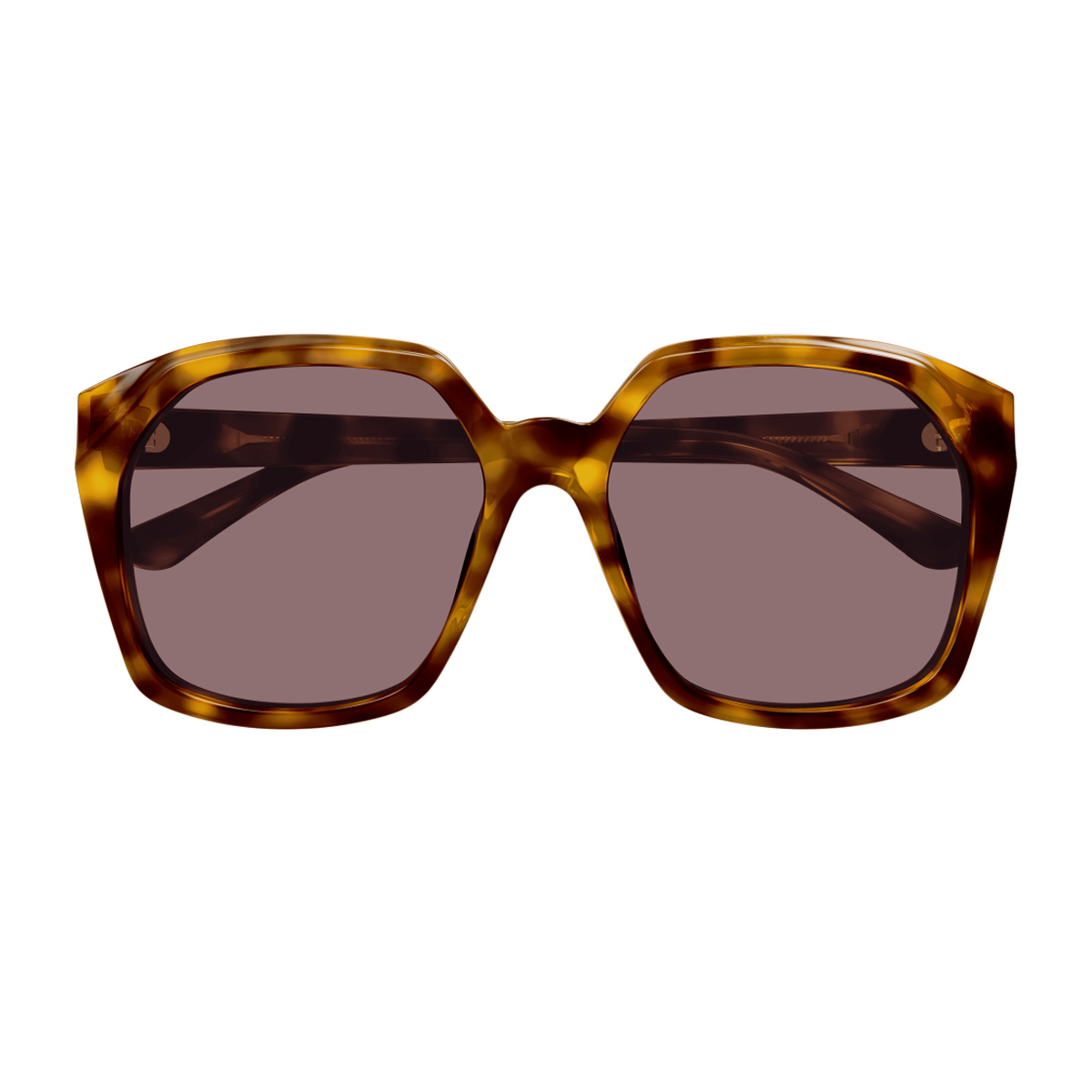 Chloé Ch0280s Linea Chloé 004 Havana Violet Sunglasses