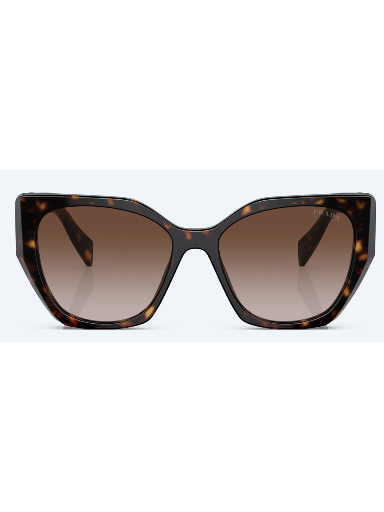 19ZS SOLE Sunglasses