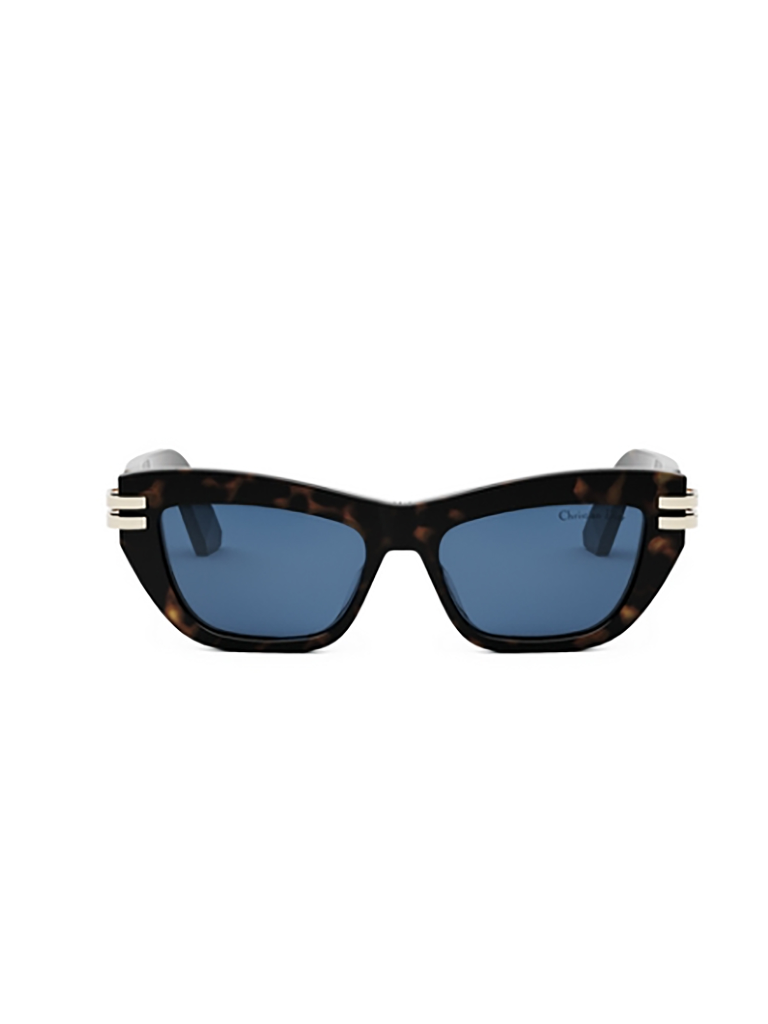 CDIOR B2U Sunglasses