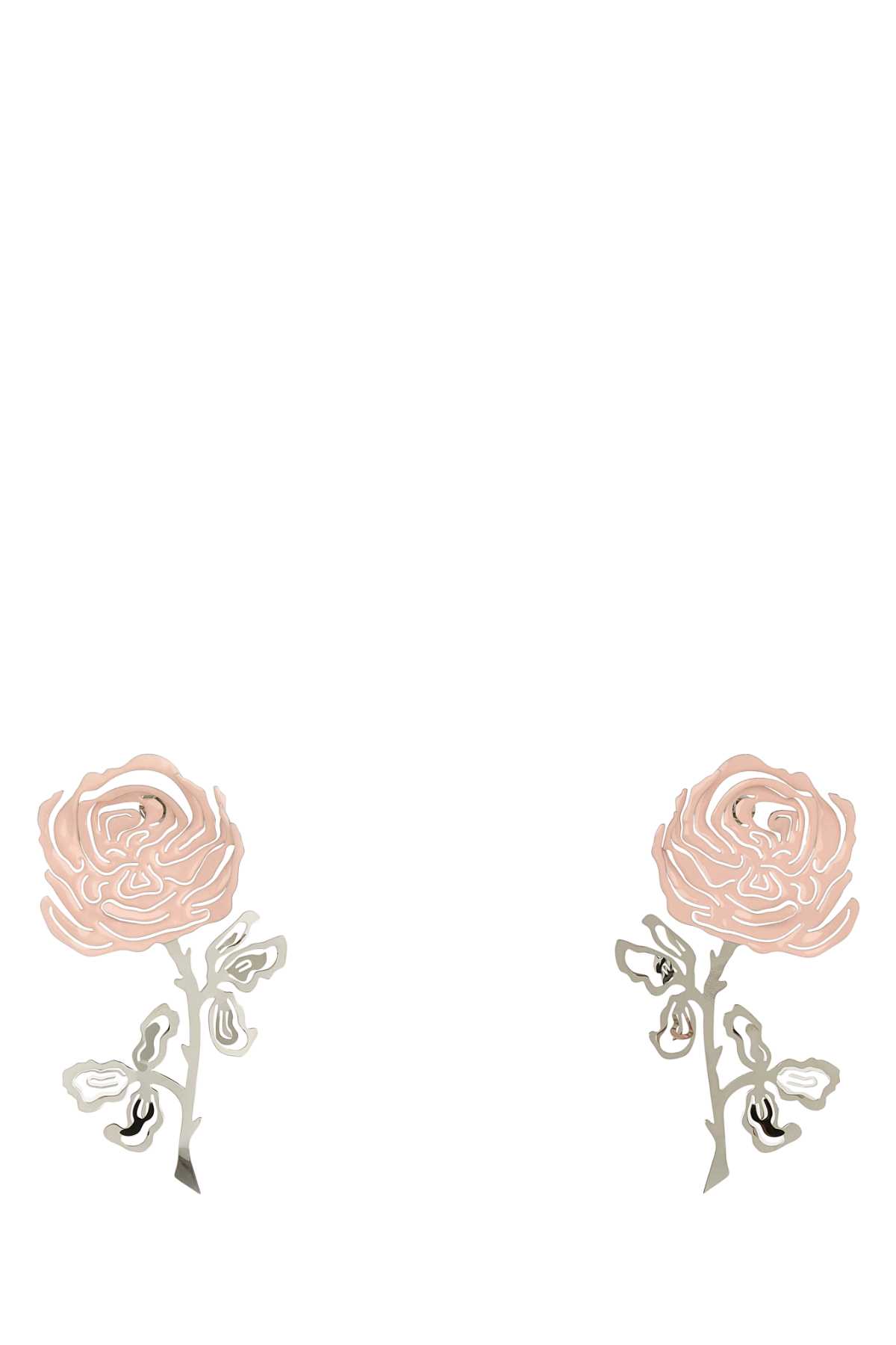 Two-tones Metal Earrings