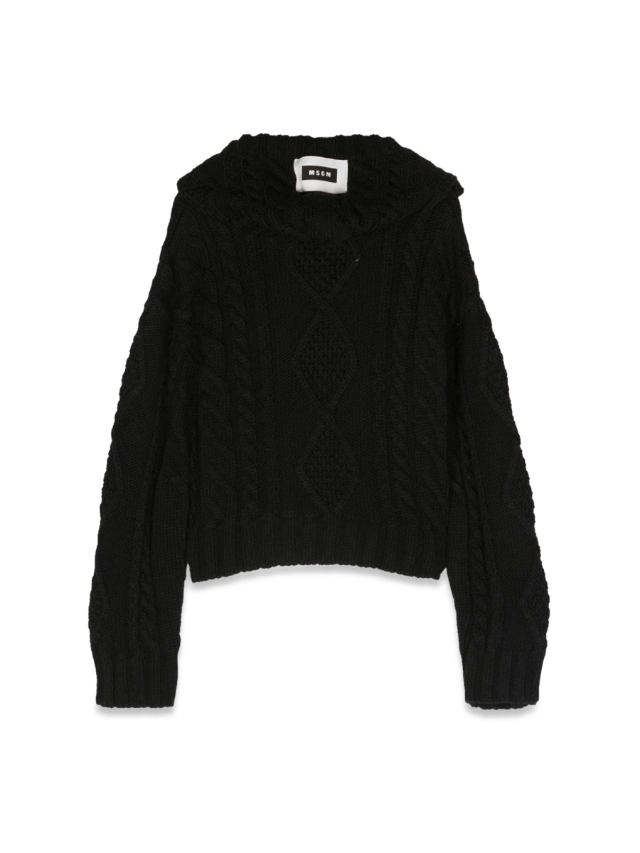 Msgm Hoodie Sweater In Black