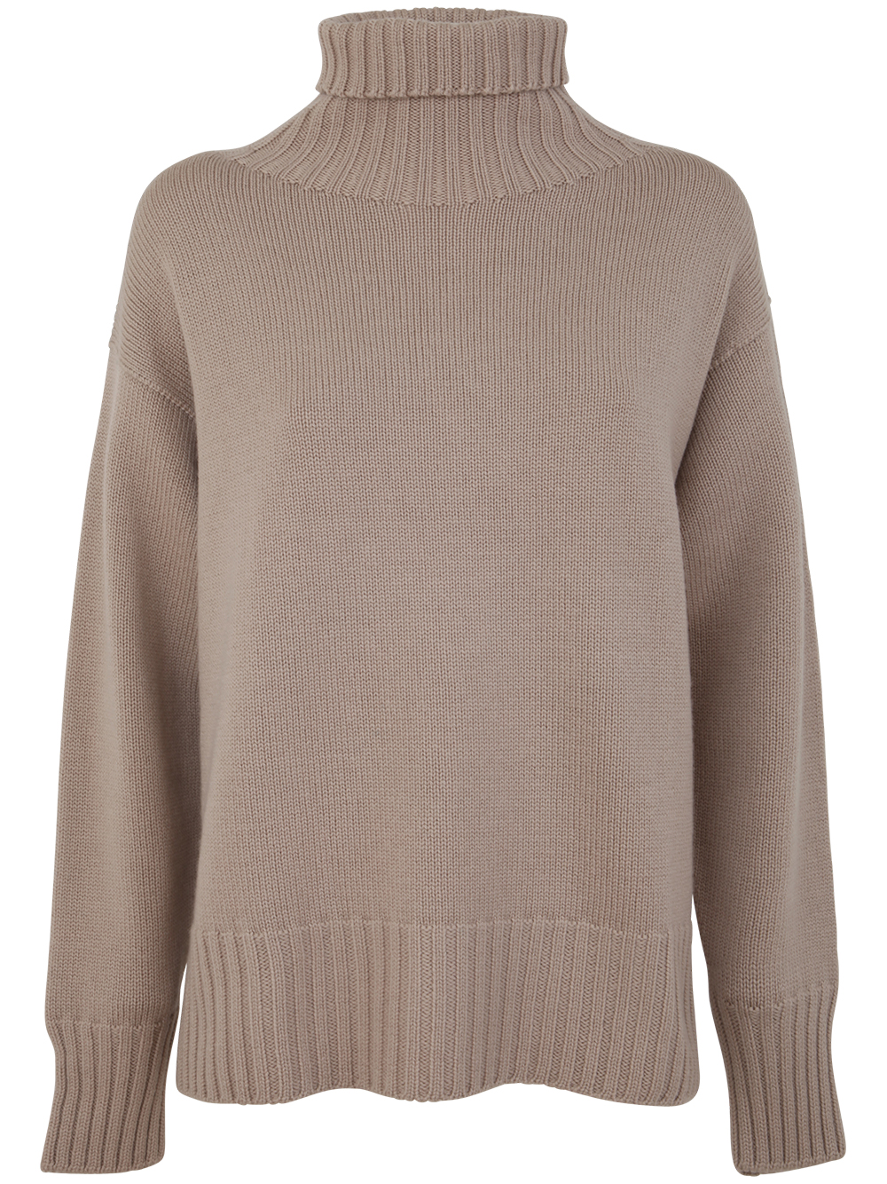 Long Sleeves Turtle Neck Oversized Sweater