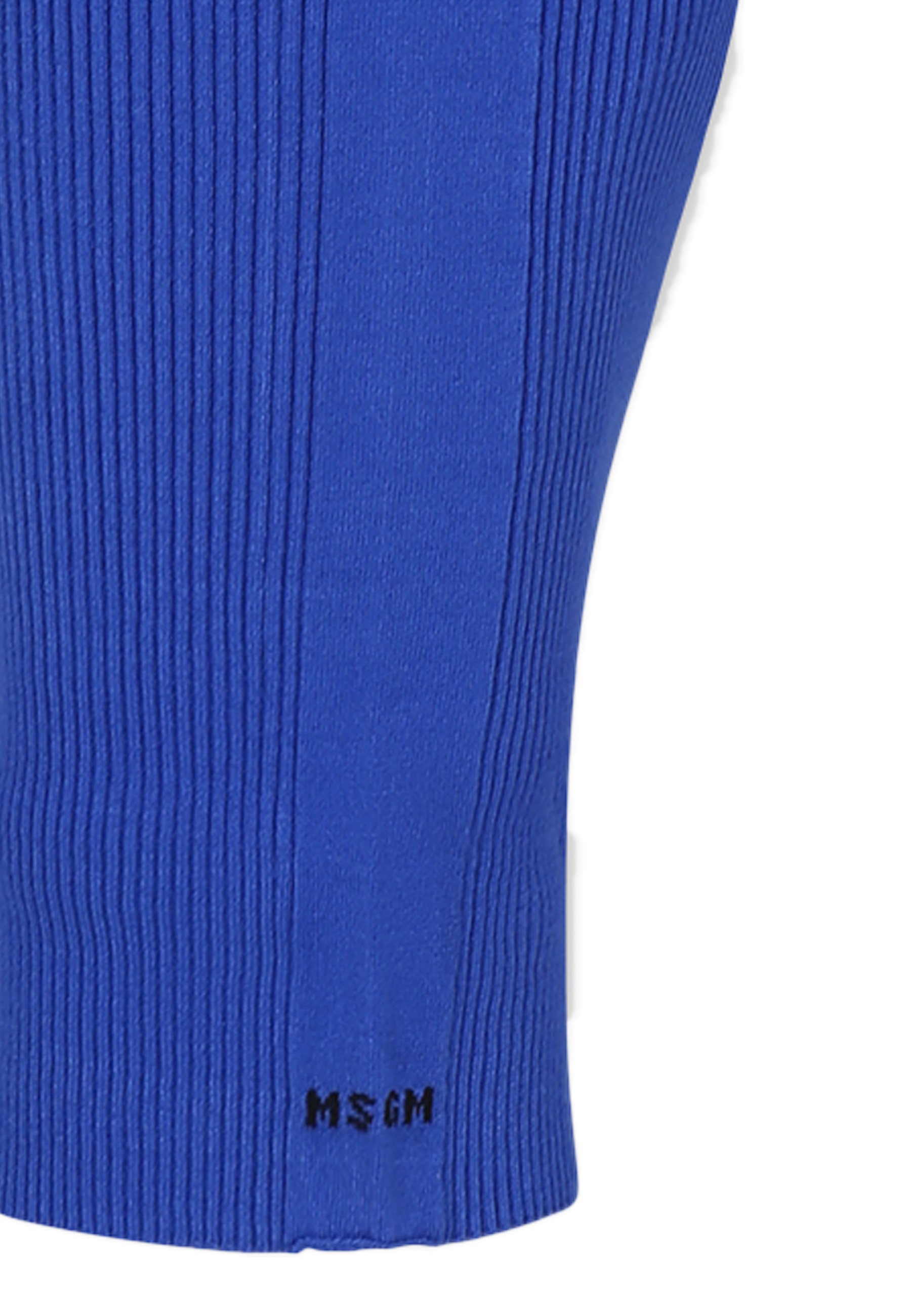 Msgm Blue Skirt For Girl With Logo In Blue