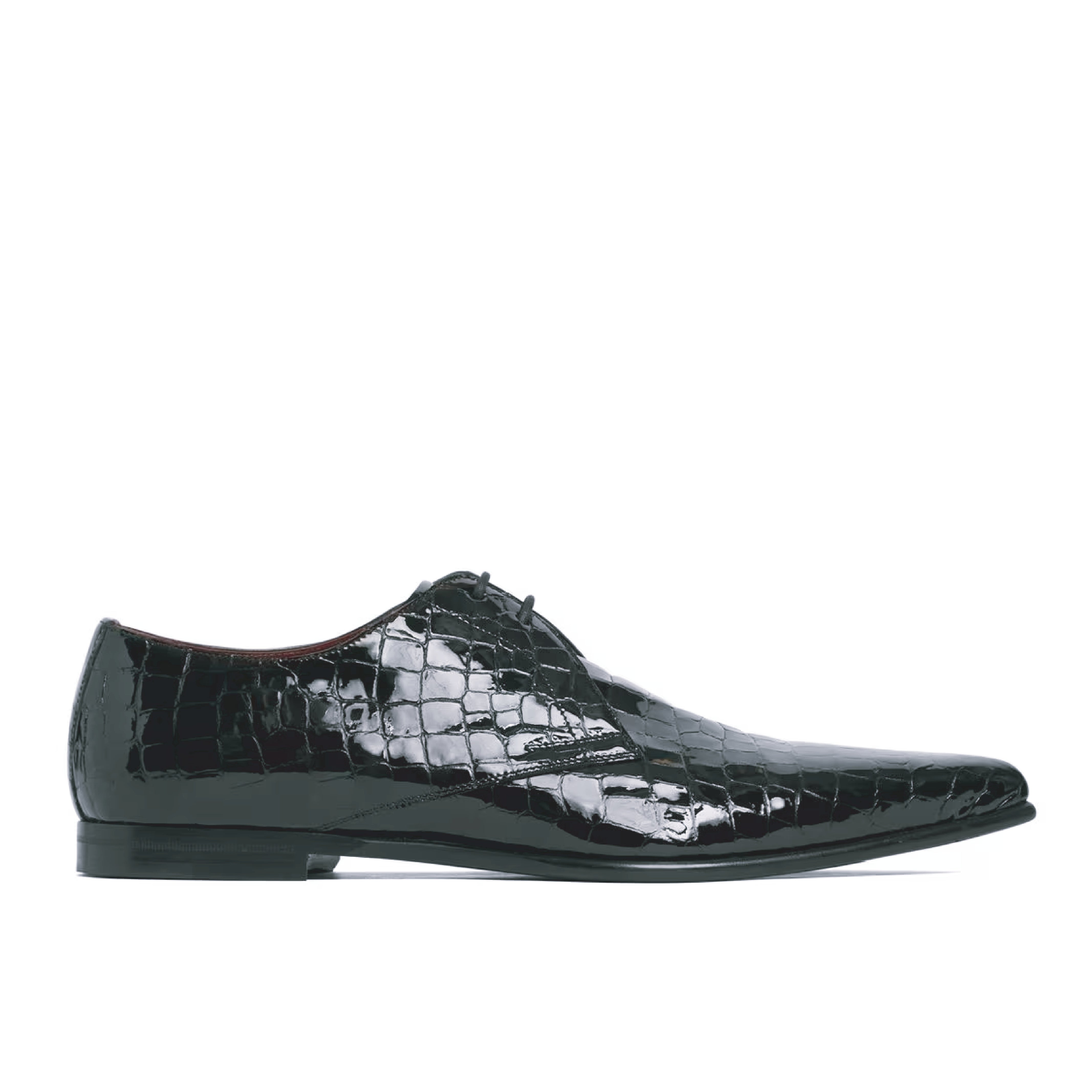 Achille Croc Embossed Derby