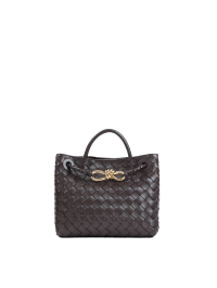 ★SALE★【送料関税無料】BOTTEGA VENETA アンディアーモ Bottega Veneta Andiamo Small Bag | italist