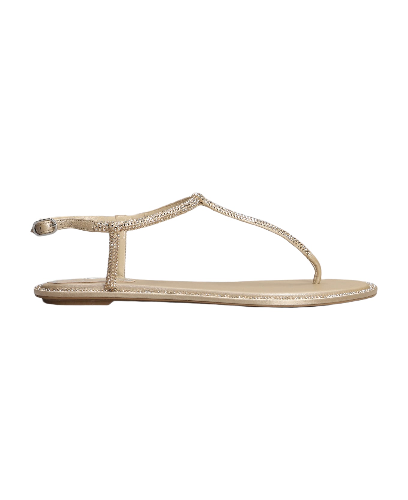 René Caovilla Renè Caovilla Diana Embellished Thong Sandals - Marrone