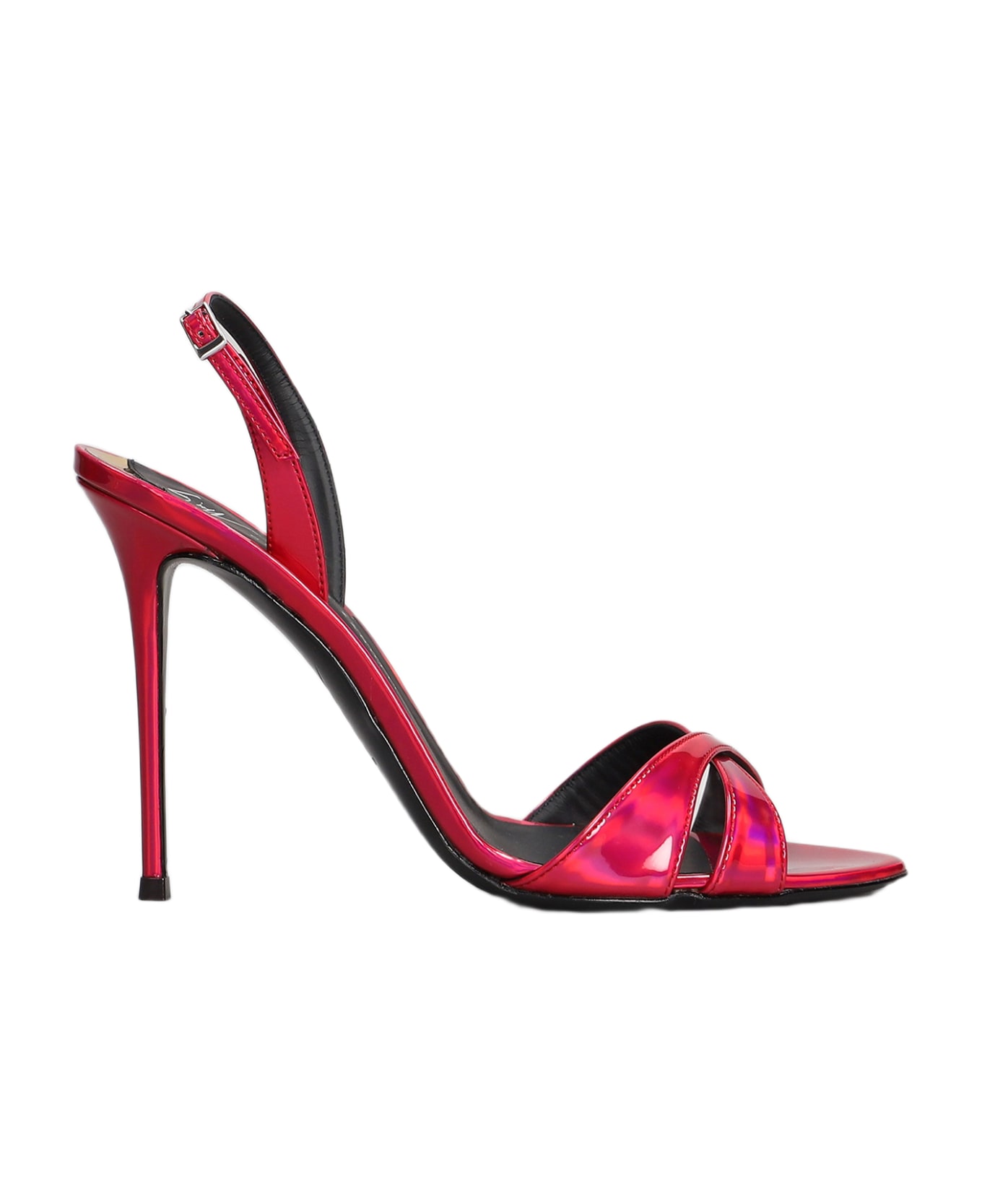 Giuseppe Zanotti Sandals In Fuxia Leather - fuxia