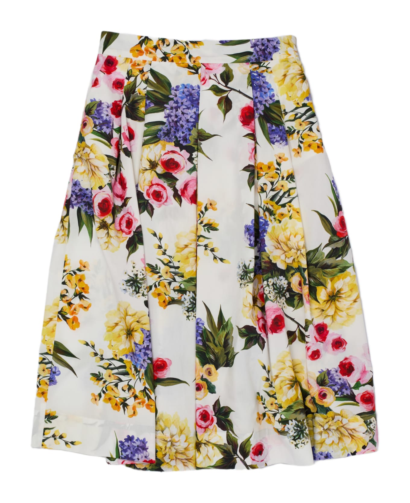 Dolce & Gabbana Skirt Skirt - B.CO-FLOREALE