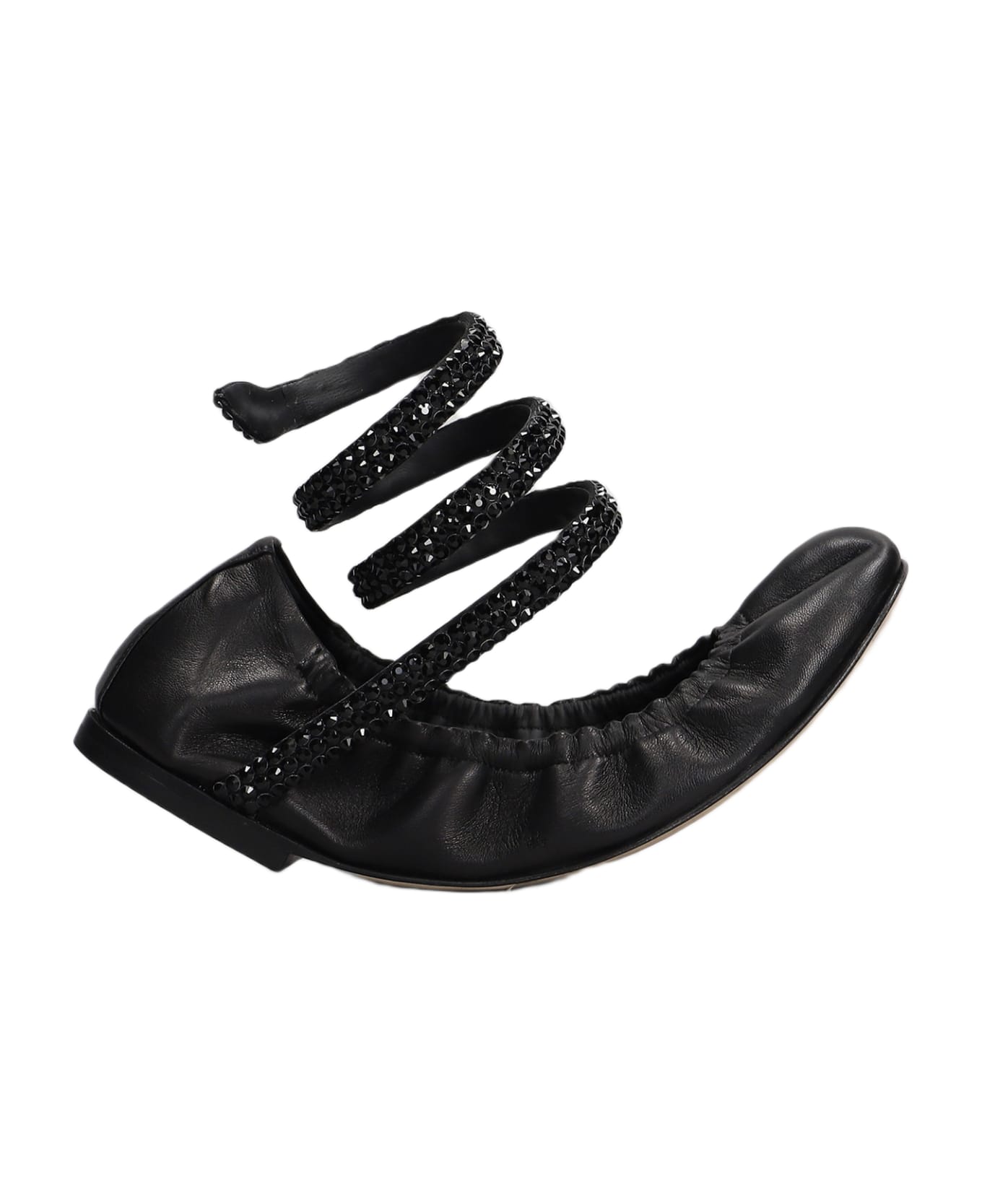 René Caovilla Cleo Ballets - Black
