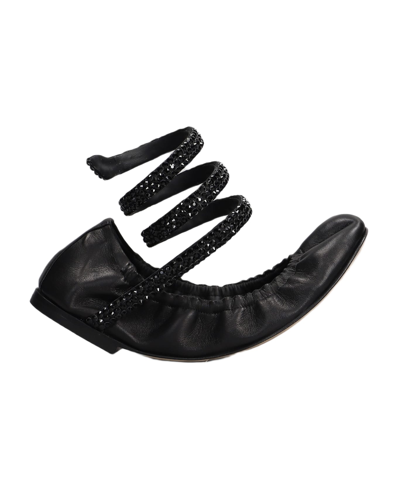 René Caovilla Cleo Ballet Flats In Black Leather - black