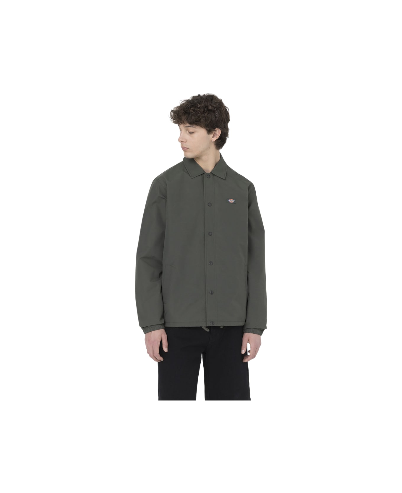 Dickies Oakport Coach - Olive Green