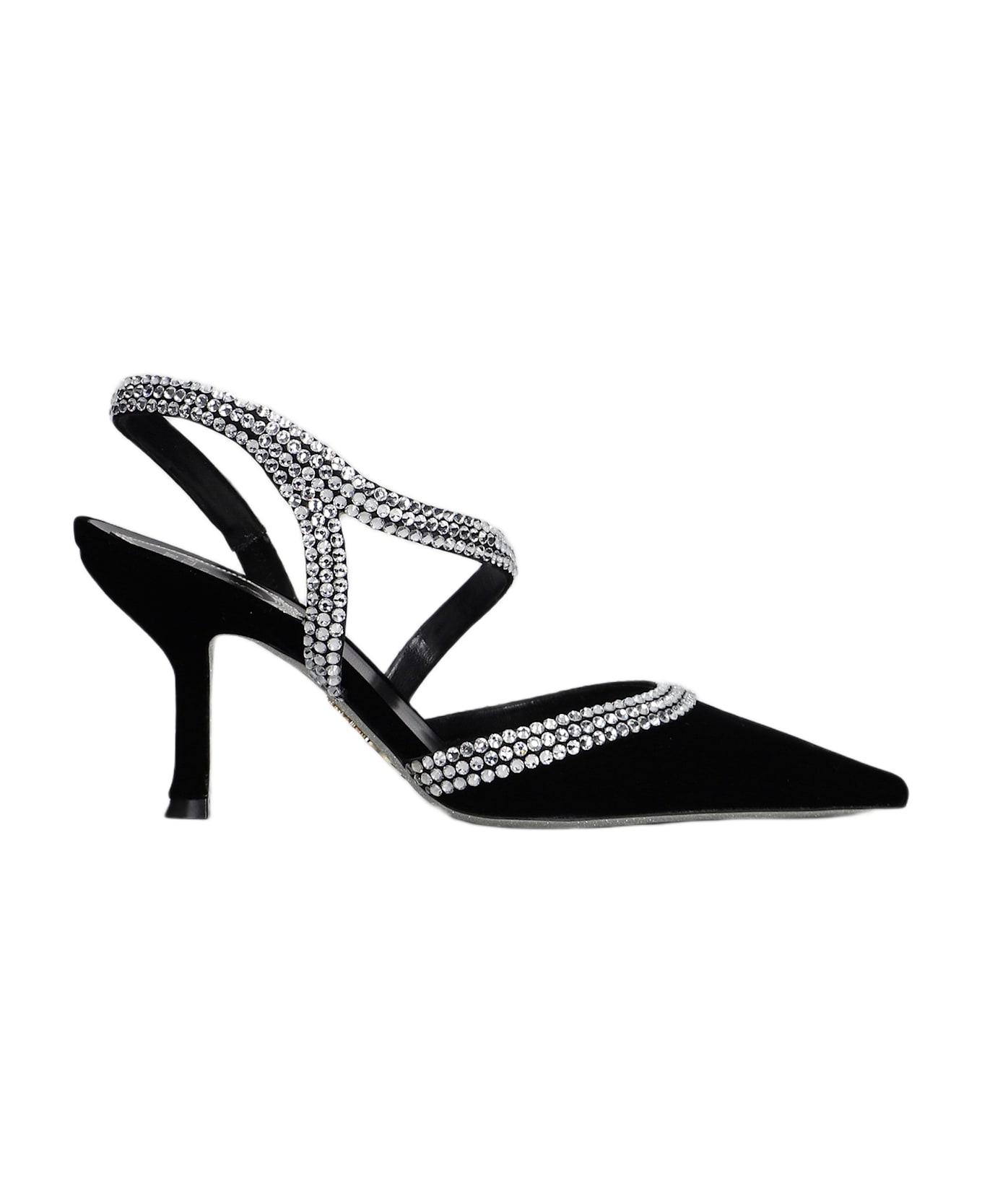 René Caovilla Lidia Pumps In Black Velvet - black