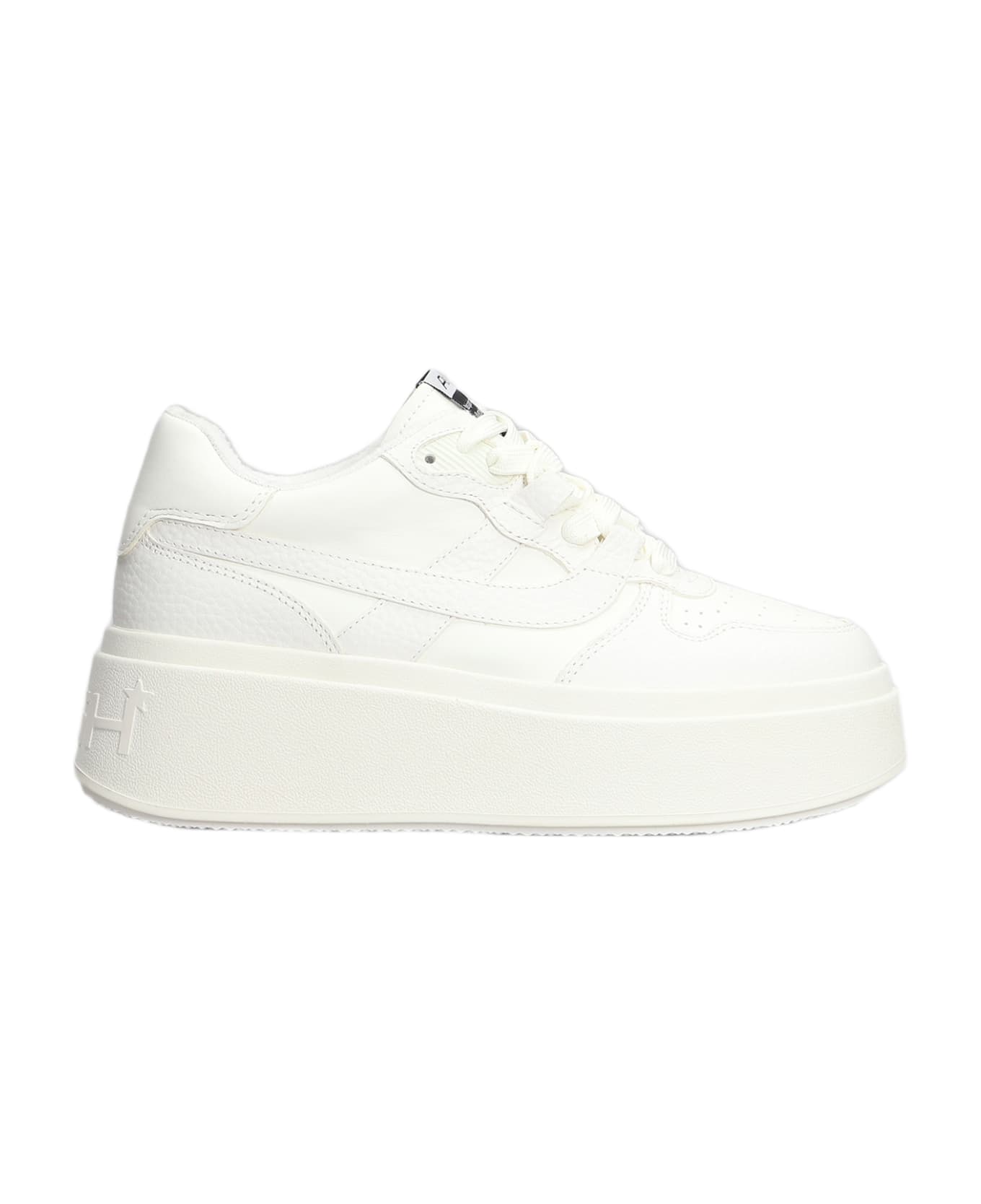 Ash Match Sneakers In White Leather - white