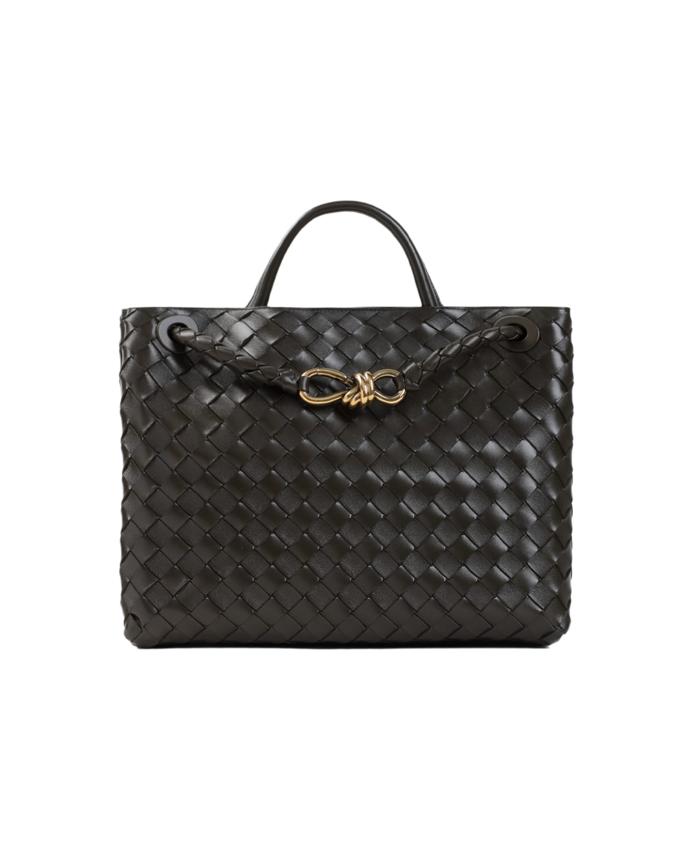 Bottega Veneta Andiamo Medium Bag - Khaki