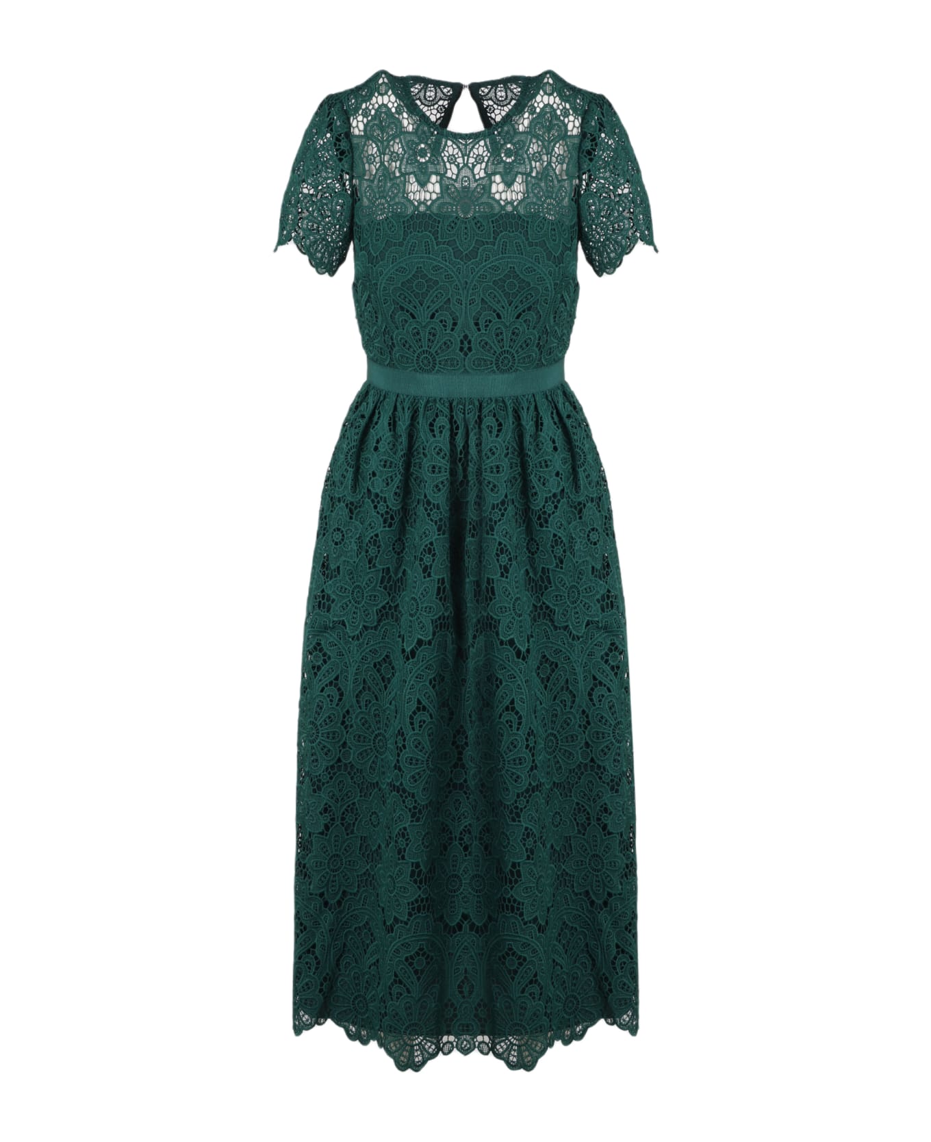 self-portrait Floral Guipure Midi Dress - Green ワンピース＆ドレス