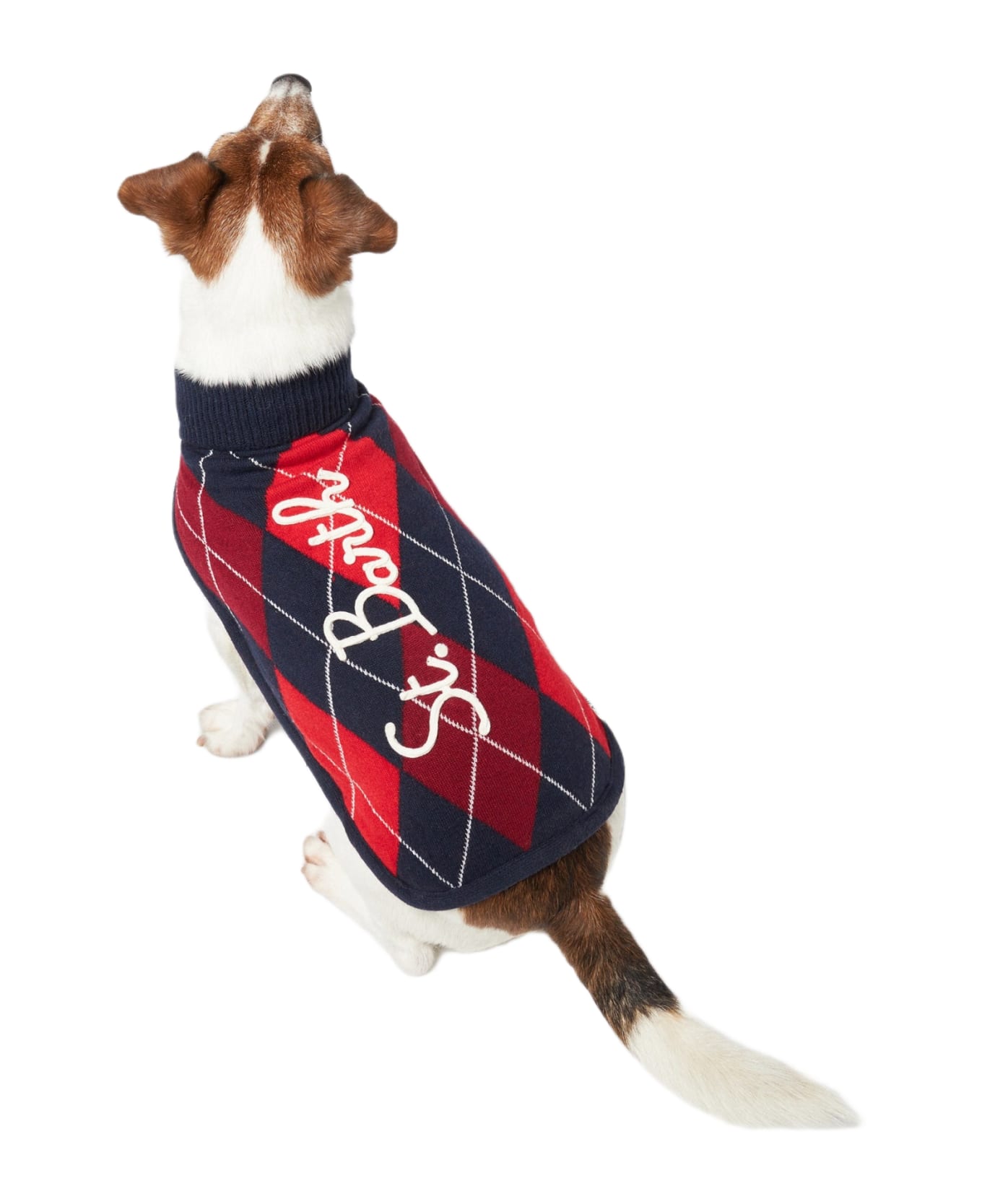 MC2 Saint Barth Dog Sweater With Argyle Print - BLUE