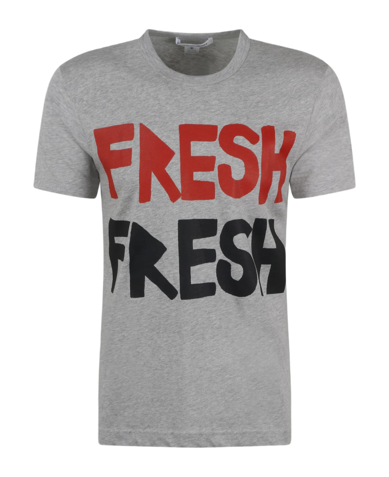 Comme des Garçons Shirt Fresh Print T-shirt - Grey