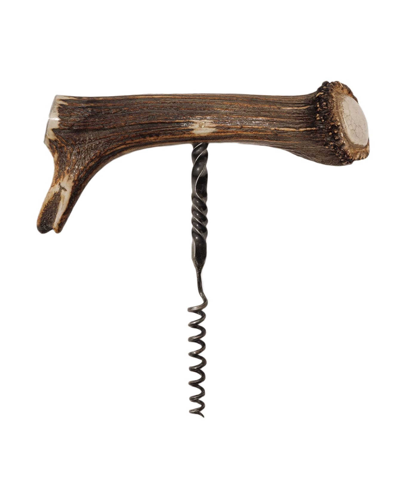 Larusmiani Corkscrew Giant Deer  - Brown