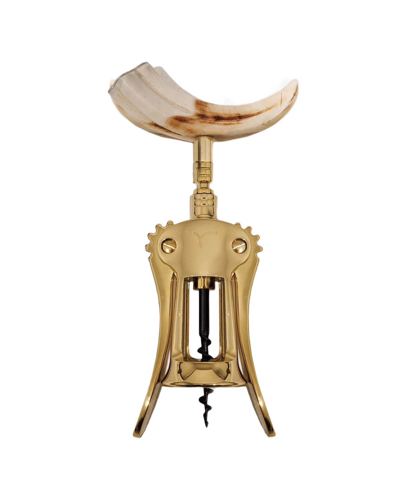 Larusmiani Corkscrew Zibibbo  - Yellow