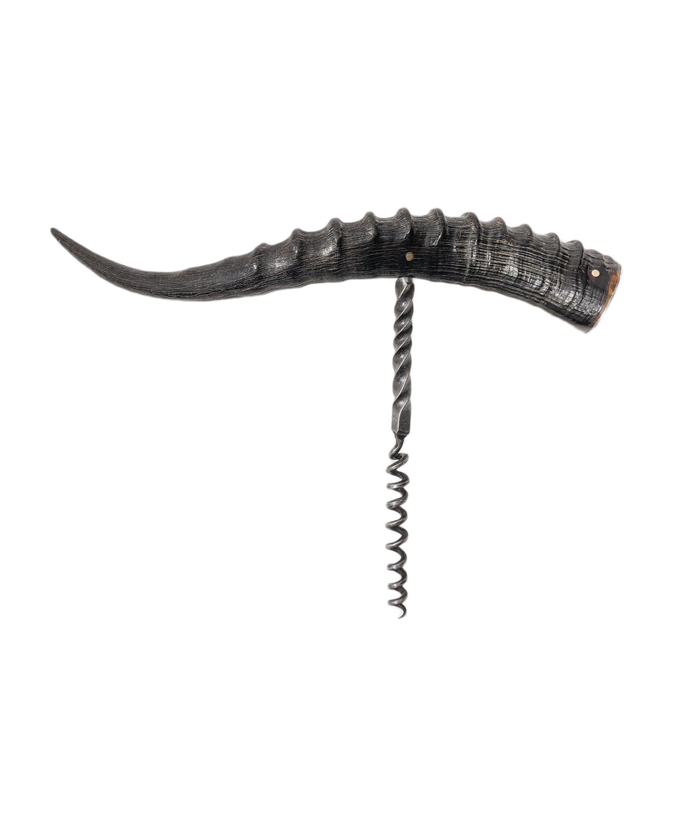 Larusmiani Corkscrew Giant Blesbok  - DarkBrown