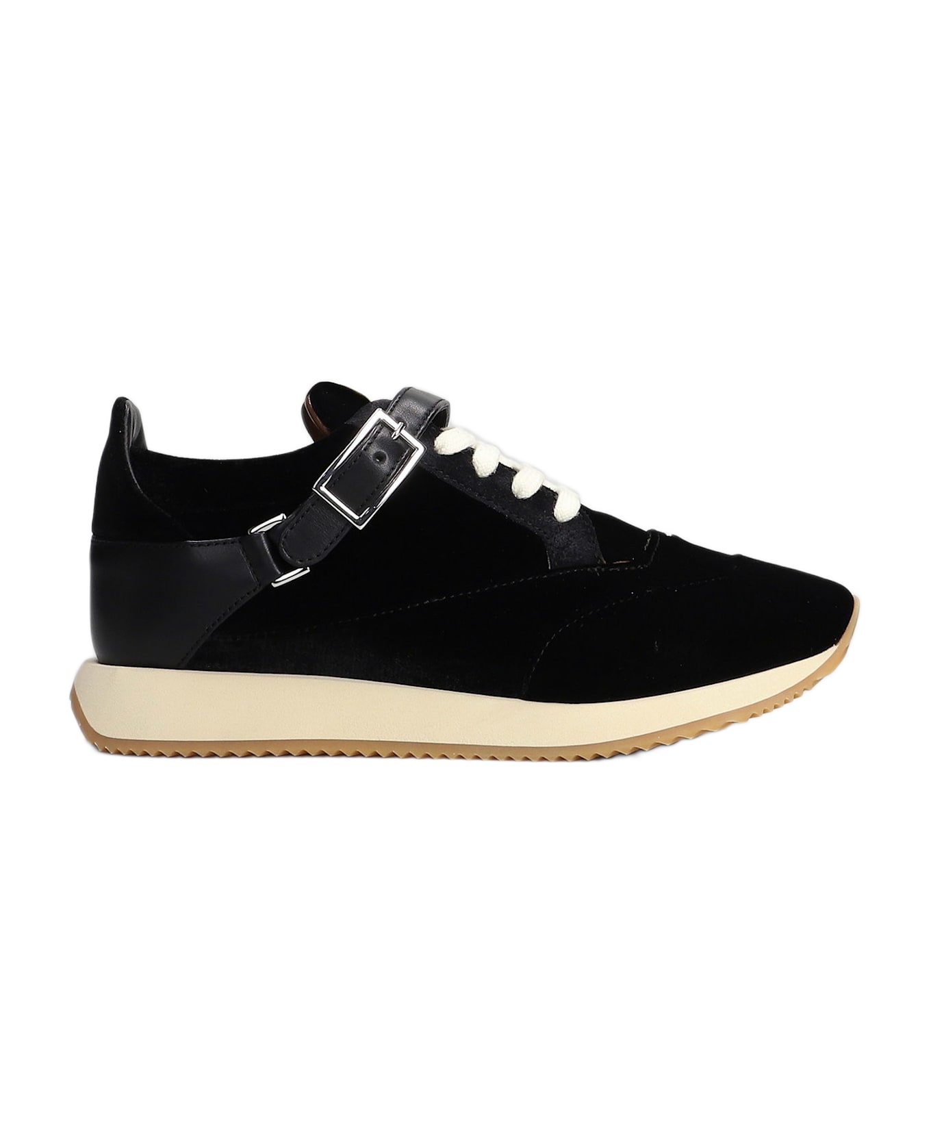 Giuseppe Zanotti Sneakers In Black Velvet - black