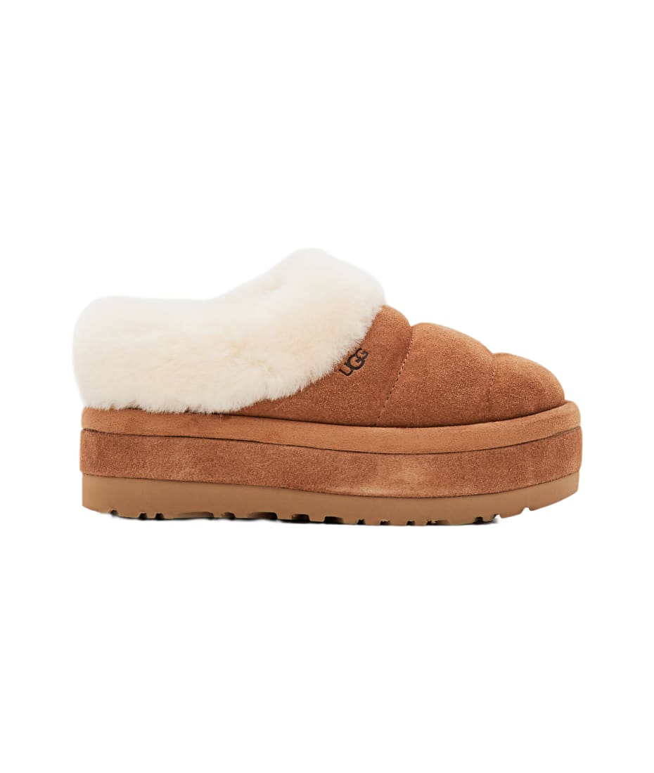 UGG W Tazzlita | italist