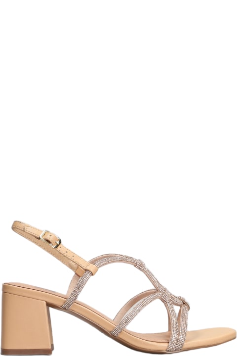 Sandals for Women Bibi Lou Pend Sandals In Powder Leather