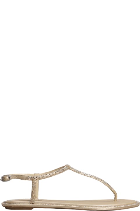 Homeware René Caovilla Renè Caovilla Diana Embellished Thong Sandals