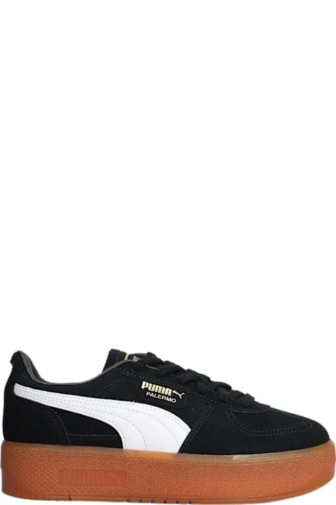 Puma Shoes for Women Puma Palermo Elevata Wns Sneakers In Black Suede