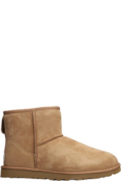 Homeware UGG Classic Mini Low Heels Ankle Boots In Leather Color Suede
