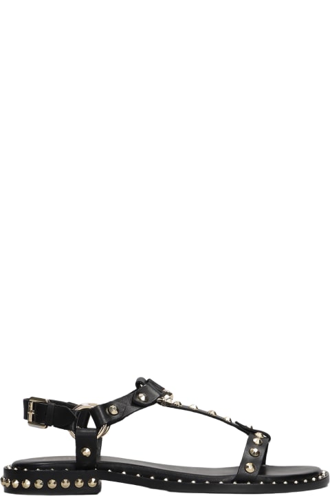 Sandals for Women Ash Patsy Flats In Black Leather
