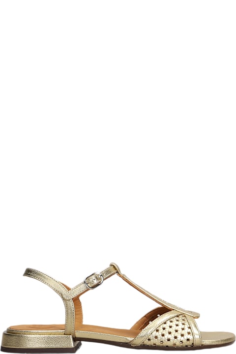 Chie Mihara Shoes for Women Chie Mihara Slipper-mule In Gold Leather