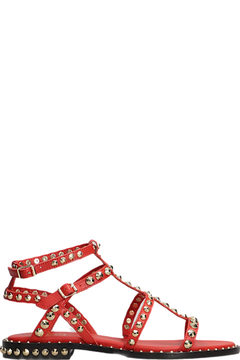 Homeware Ash Precious Flats In Red Leather