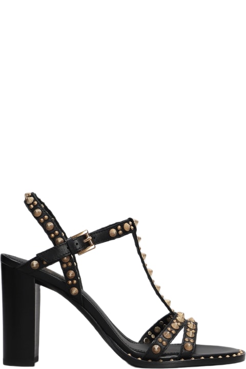 Shoes for Women Ash Kiss Sandals In Black Leather