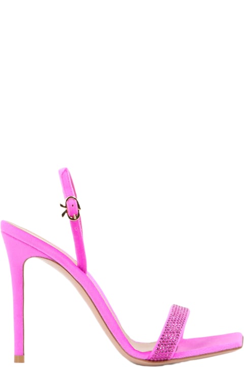 Fashion for Women Gianvito Rossi Britney Fuchsia Sandals
