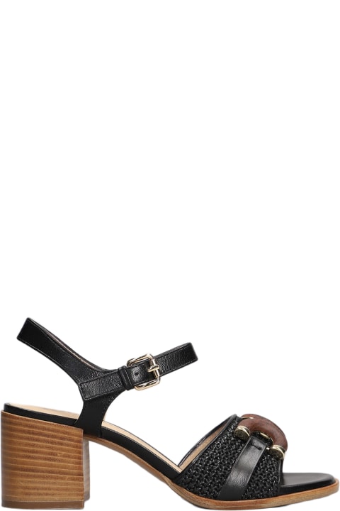 Shoes for Women Roberto Festa Alice Sandals In Black Leather