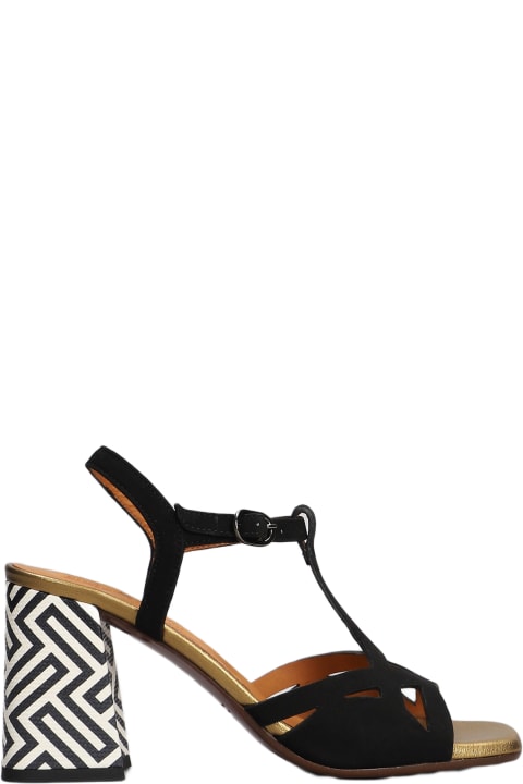 Chie Mihara Sandals for Women Chie Mihara Plau Sandals In Black Suede