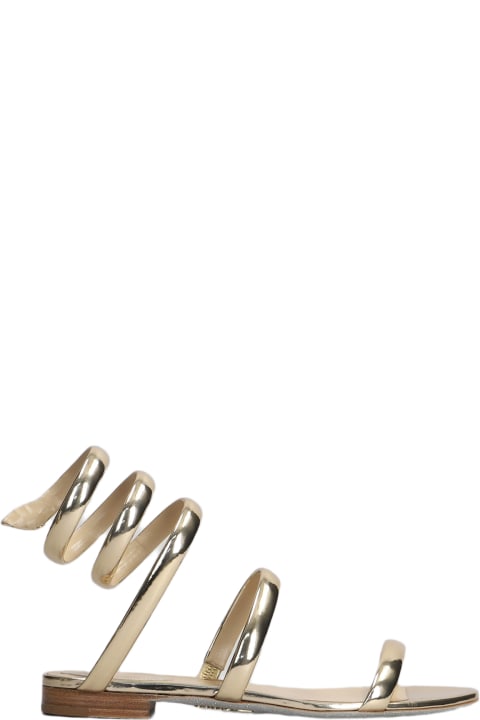 Sandals for Women René Caovilla Serpente Flats In Gold Leather