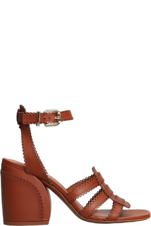Zimmermann for Women Zimmermann Goldie Sandal 85 Sandals In Brown Leather
