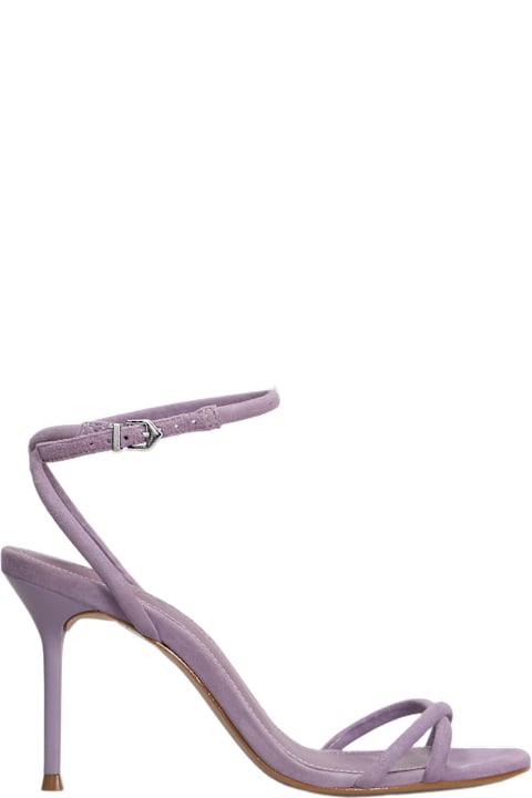 Sandals for Women Schutz Sandals In Viola Suede