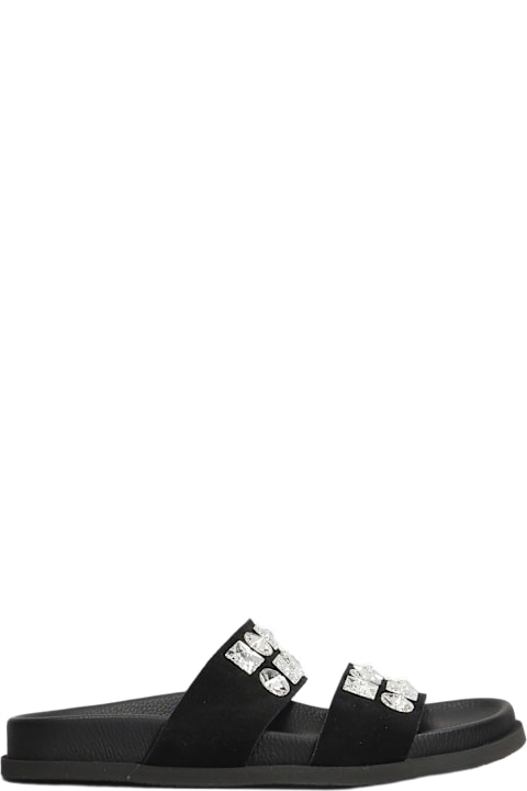 Pedro Garcia Shoes for Women Pedro Garcia Dilys Flats In Black Suede