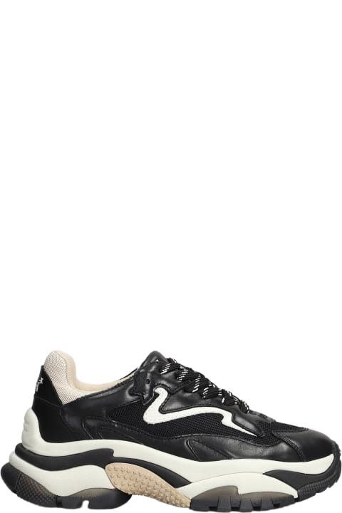 Ash women's addict leather lace up sneakers store