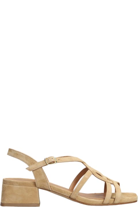 Julie Dee Shoes for Women Julie Dee Sandals In Beige Suede