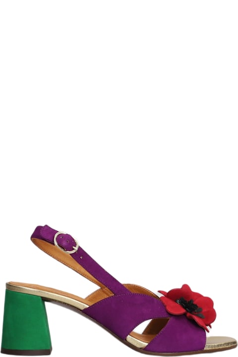 Chie Mihara Shoes for Women Chie Mihara Rutina 46 Pumps In Viola Suede