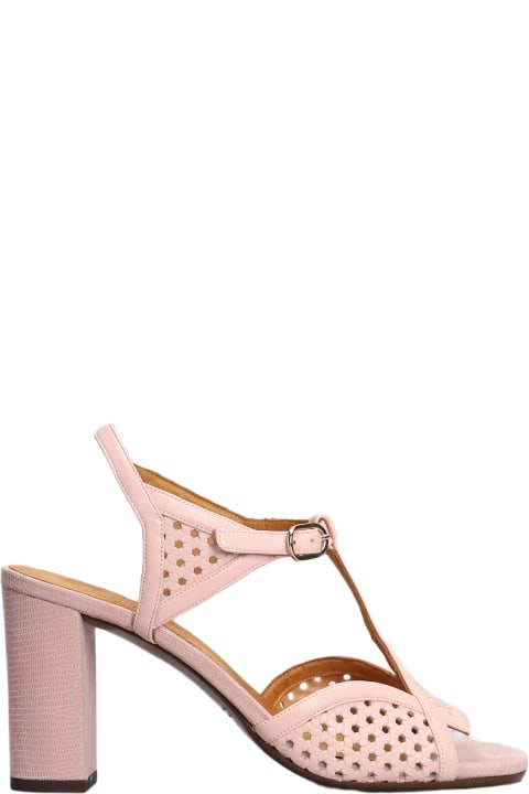 Chie Mihara Shoes for Women Chie Mihara Bessy Sandals In Rose-pink Leather